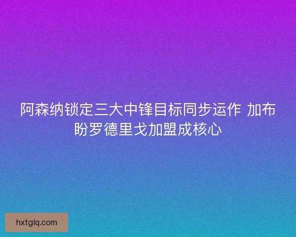 阿森纳锁定三大中锋目标同步运作 加布盼罗德里戈加盟成核心